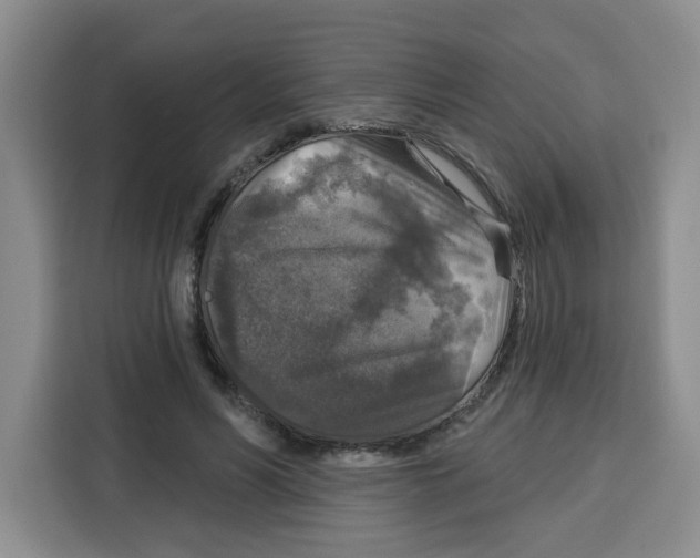 X0000115130590200911241447