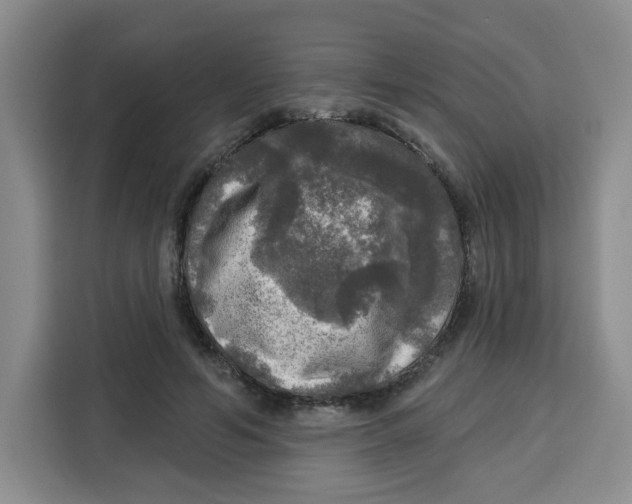 X0000115130594200911241447