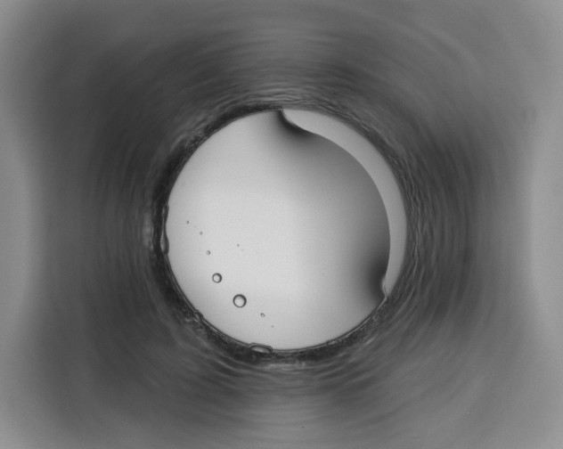 X0000115130595200911241447