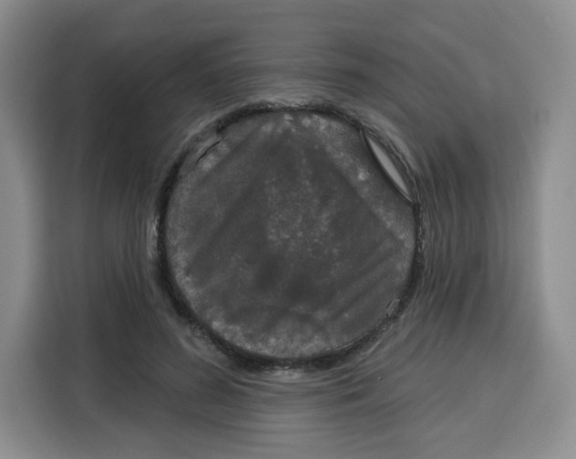 X0000115130596200911241447
