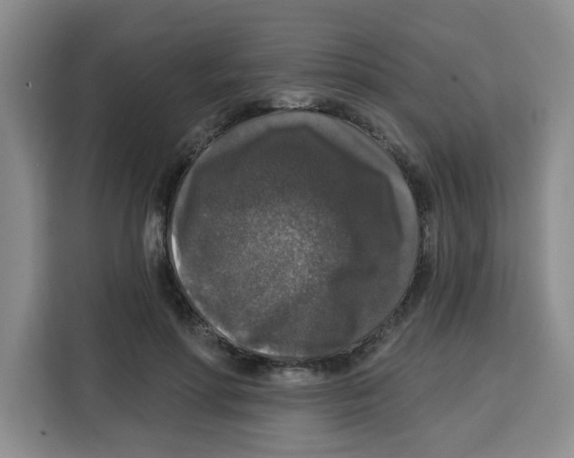 X0000115130598200911241447