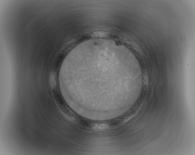 X0000115130599200911241447