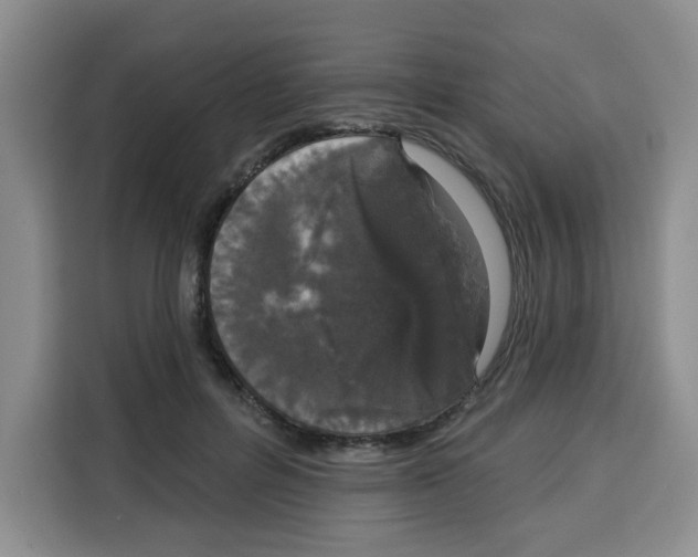 X0000115130600200911241447