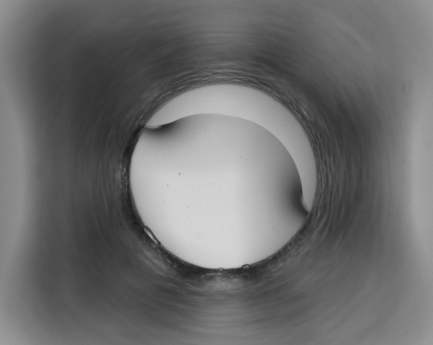 X0000115130601200911241447