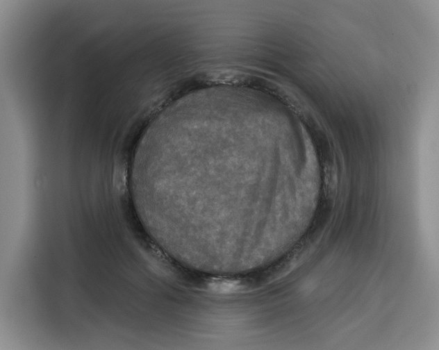 X0000115130602200911241447