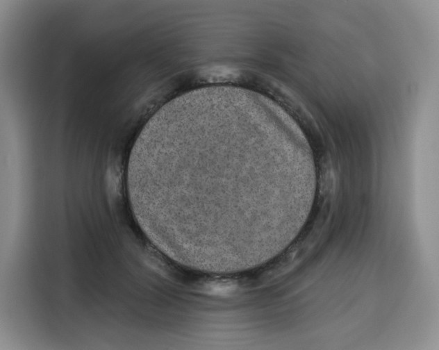X0000115130604200911241447