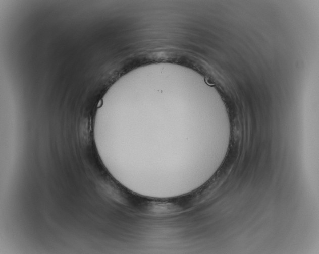 X0000115130605200911241447