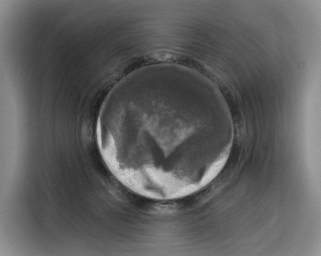 X0000115130606200911241447
