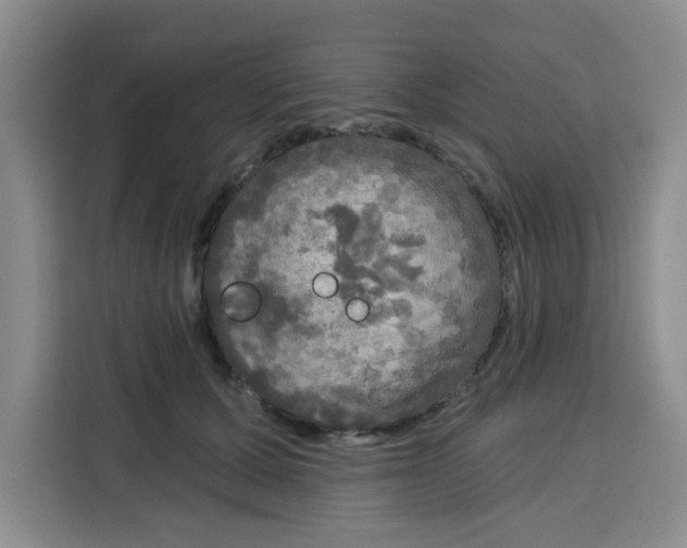 X0000115130607200911241447
