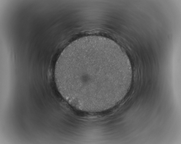 X0000115130608200911241447