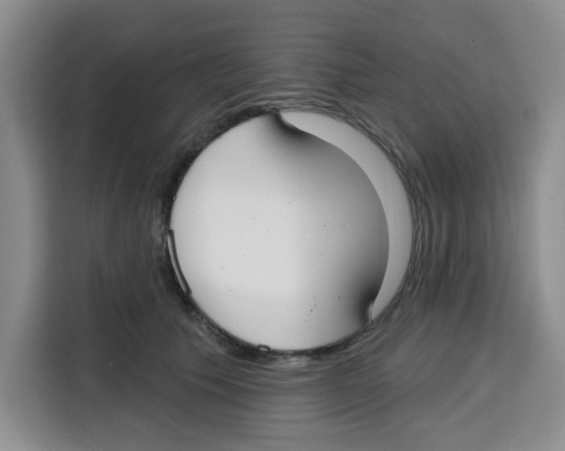 X0000115130609200911241447
