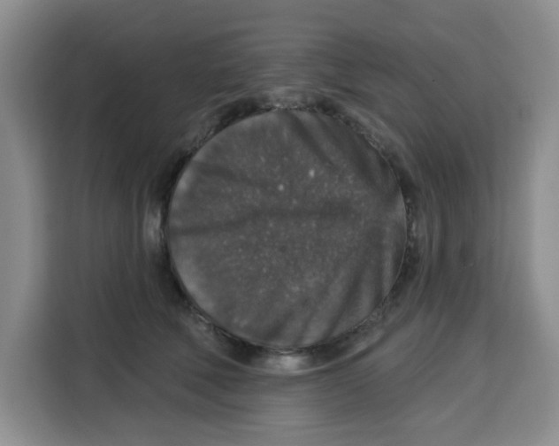 X0000115130610200911241447