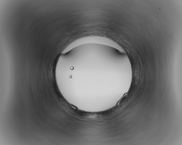 X0000115130611200911241447