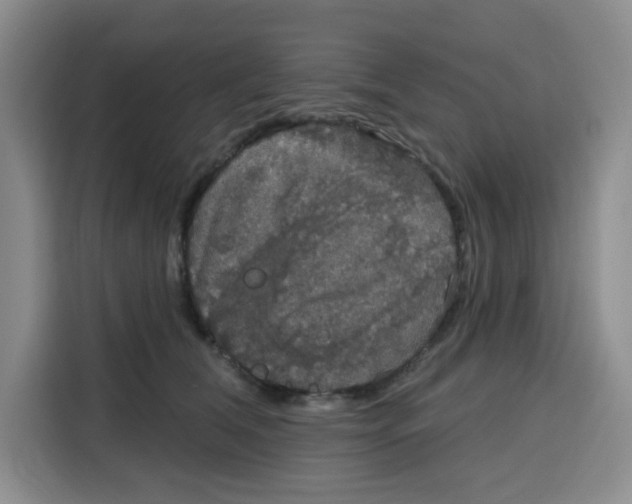 X0000115130612200911241447