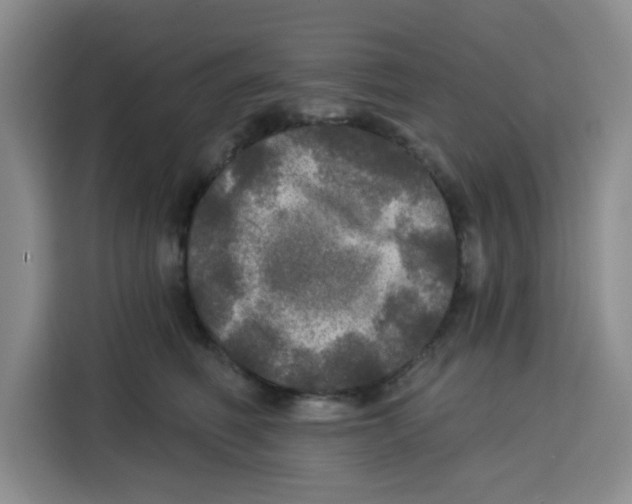 X0000115130614200911241447