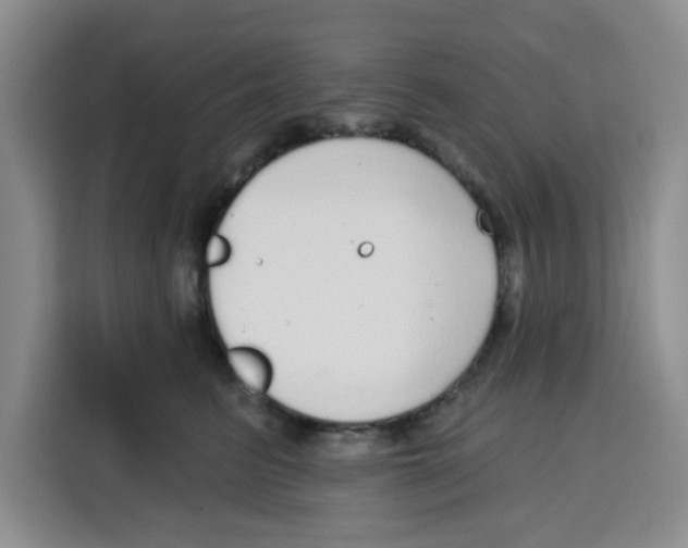 X0000115130615200911241447
