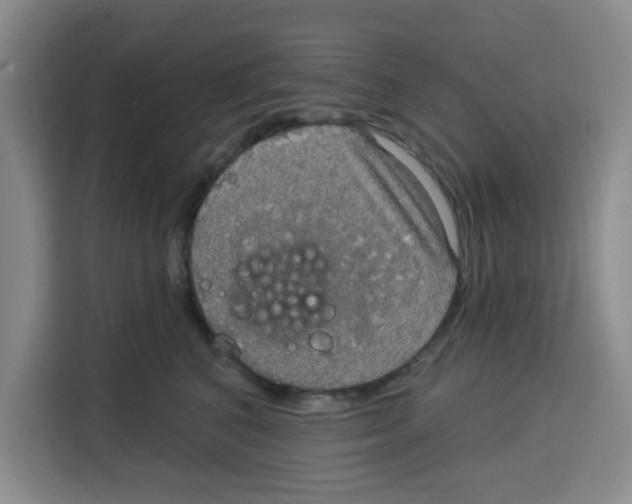 X0000115130616200911241447