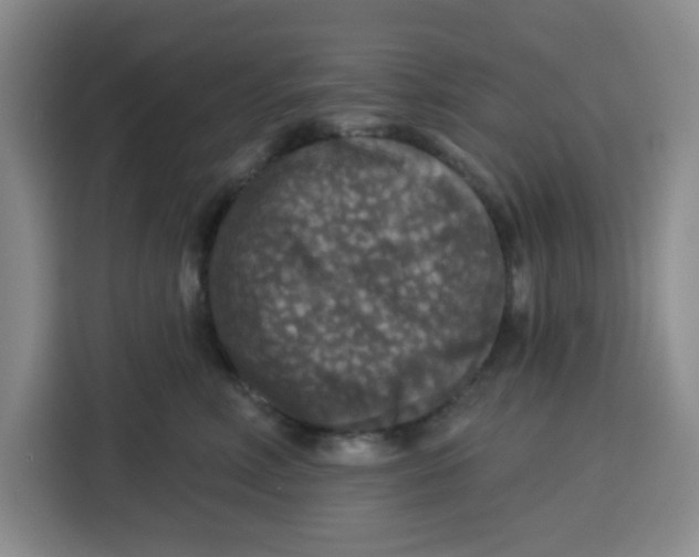 X0000115130618200911241447