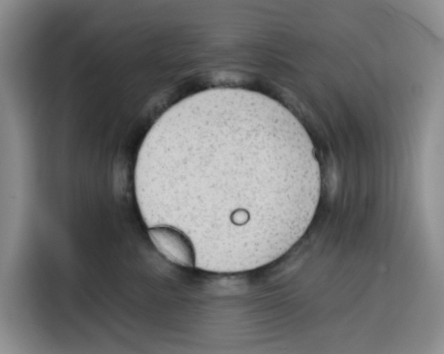 X0000115130619200911241447