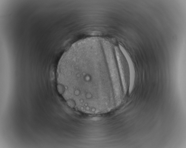 X0000115130620200911241447