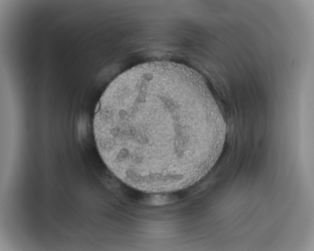 X0000115130623200911241447