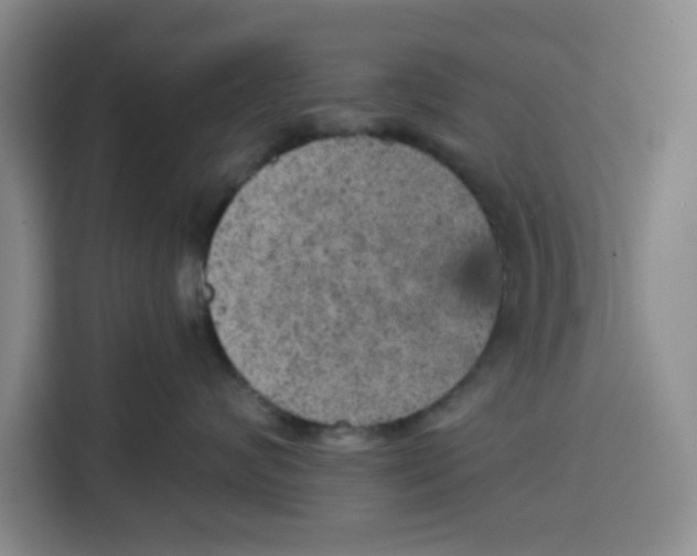 X0000115130624200911241447