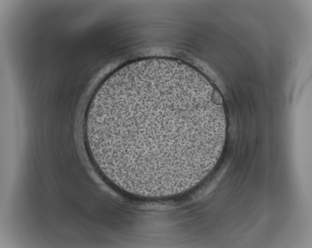 X0000115130625200911241446