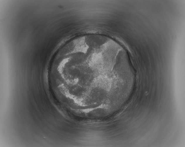 X0000115130626200911241446