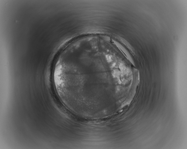 X0000115130627200911241446