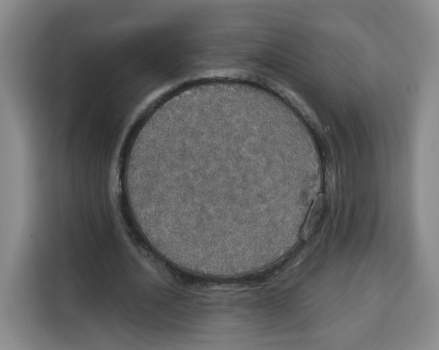 X0000115130628200911241446