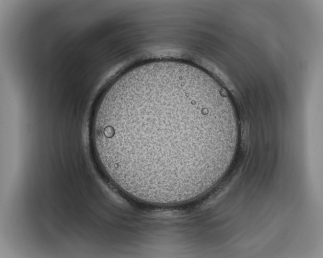 X0000115130629200911241446