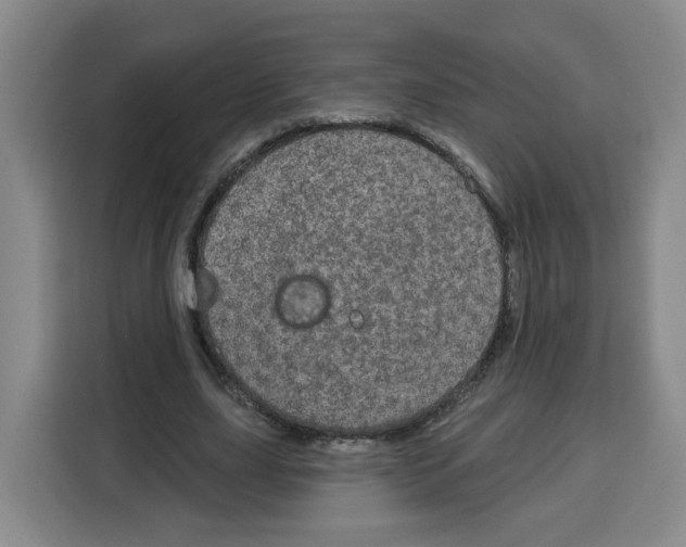X0000115130631200911241446