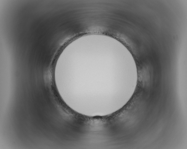 X0000115130632200911241446