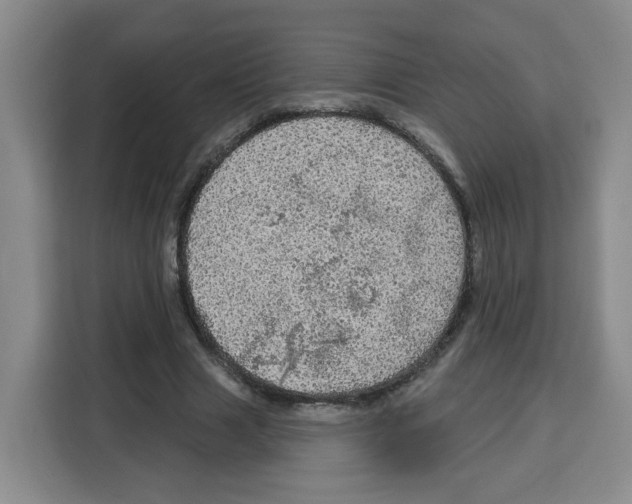 X0000115130633200911241446