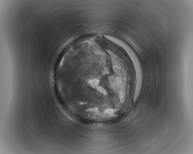 X0000115130634200911241446