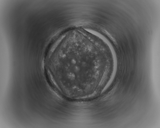 X0000115130637200911241446