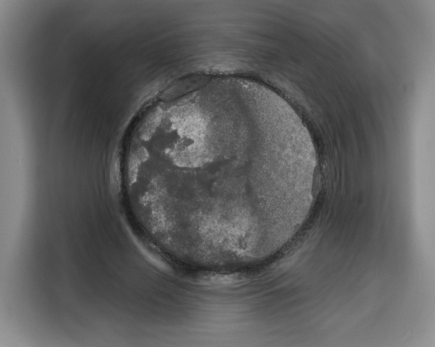X0000115130638200911241446