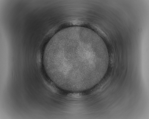 X0000115130639200911241446