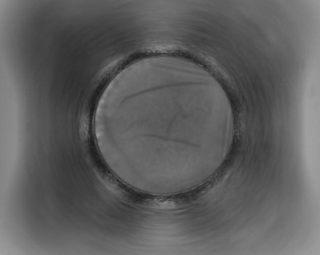 X0000115130640200911241446