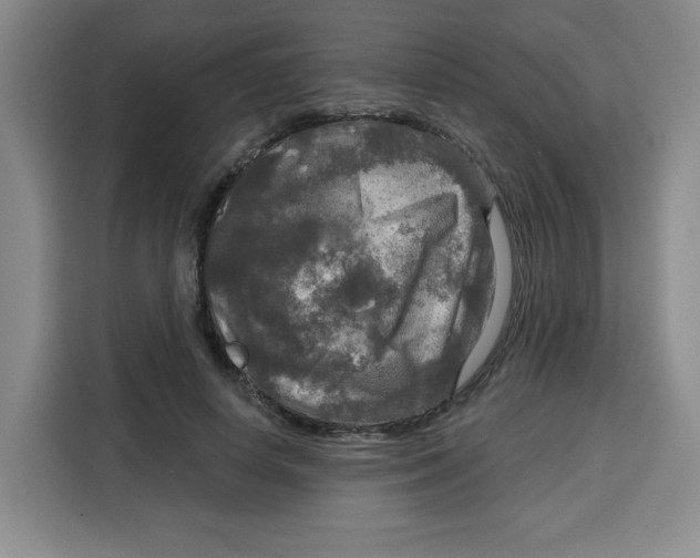 X0000115130642200911241446