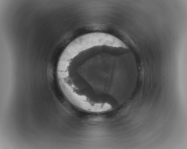 X0000115130643200911241446