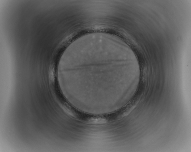 X0000115130644200911241446