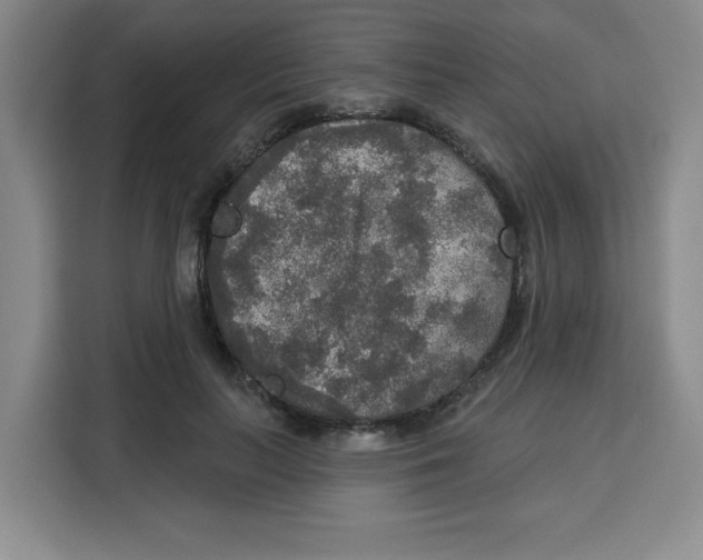 X0000115130647200911241446