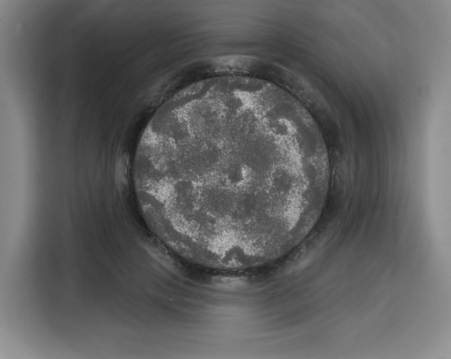 X0000115130649200911241446