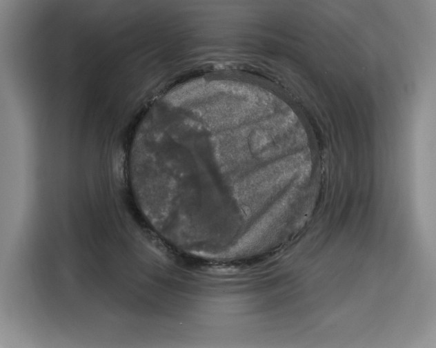 X0000115130650200911241446