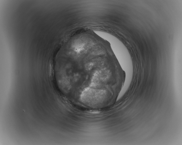 X0000115130651200911241446