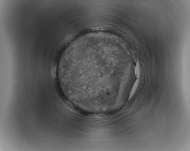 X0000115130652200911241446