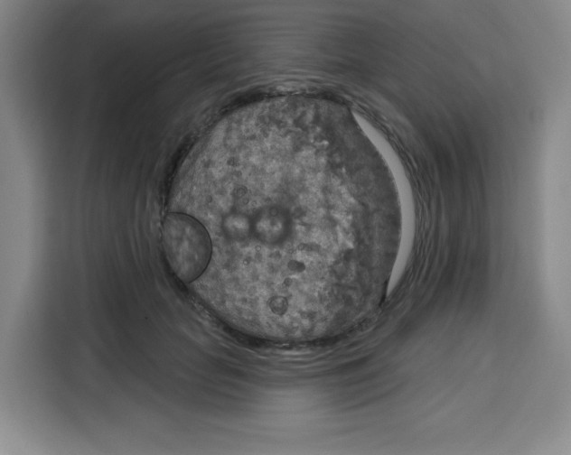 X0000115130653200911241446