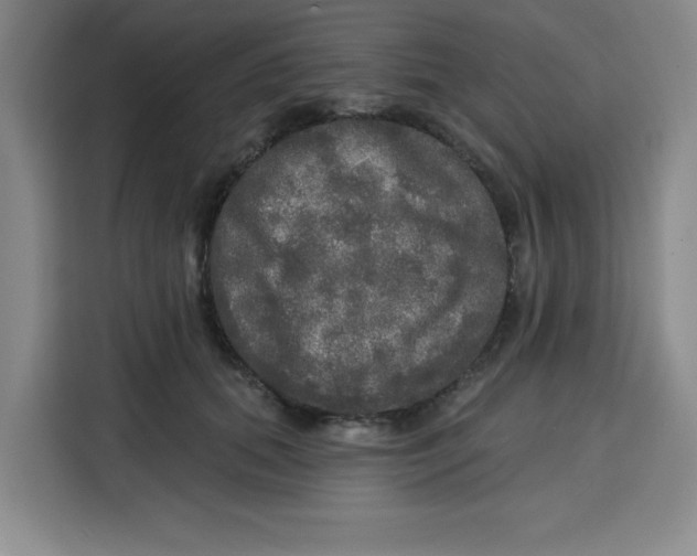 X0000115130655200911241447