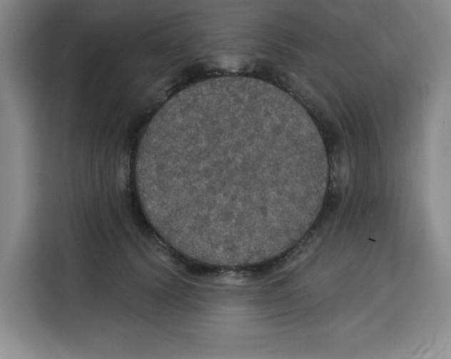 X0000115130656200911241447